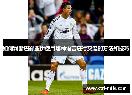 如何判断巴舒亚伊使用哪种语言进行交流的方法和技巧