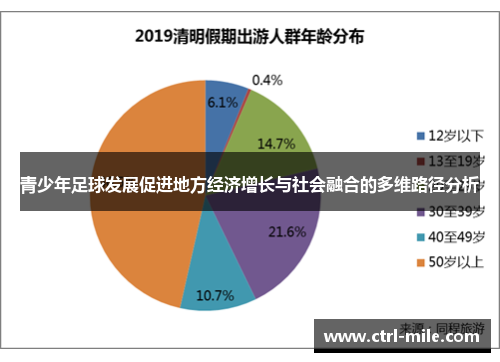 青少年足球发展促进地方经济增长与社会融合的多维路径分析 青少年足球发展促进地方经济增长与社会融合的多维路径分析