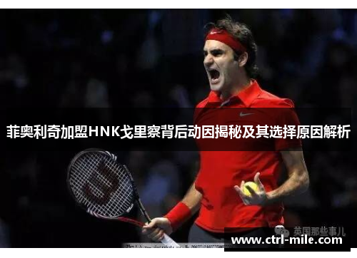 菲奥利奇加盟HNK戈里察背后动因揭秘及其选择原因解析