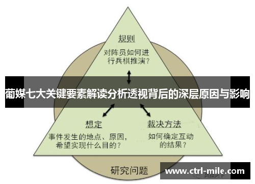 葡媒七大关键要素解读分析透视背后的深层原因与影响
