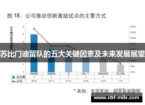 苏比门迪留队的五大关键因素及未来发展展望