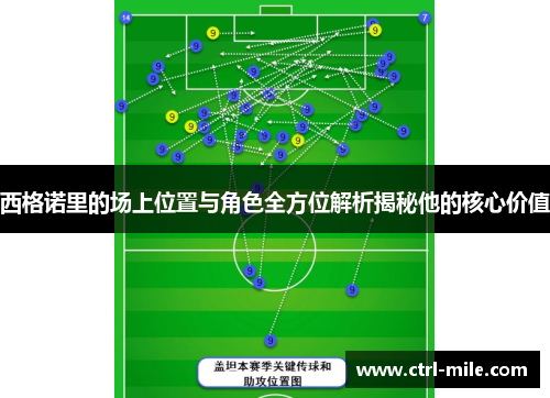 西格诺里的场上位置与角色全方位解析揭秘他的核心价值