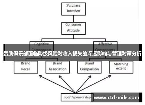 赞助俱乐部面临降级风险对收入损失的深远影响与管理对策分析 赞助俱乐部面临降级风险对收入损失的深远影响与管理对策分析